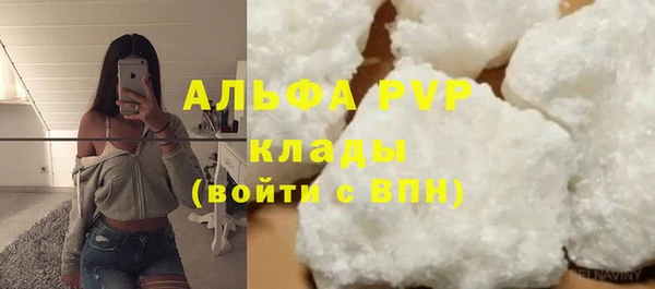 гашик Куйбышев
