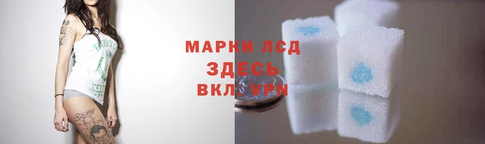 ПСИЛОЦИБИНОВЫЕ ГРИБЫ Кулебаки