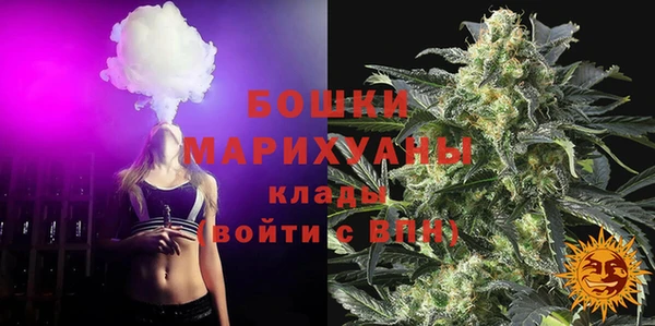 ПСИЛОЦИБИНОВЫЕ ГРИБЫ Кулебаки