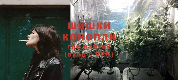 PSILOCYBIN Красноперекопск
