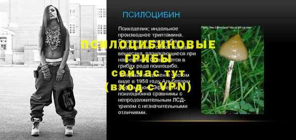 гашик Куйбышев