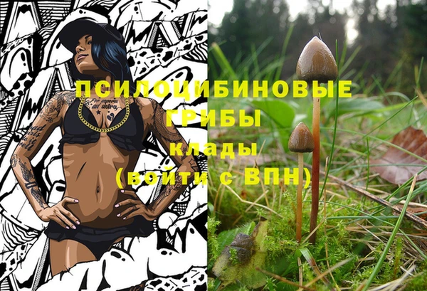 бутират Кукмор