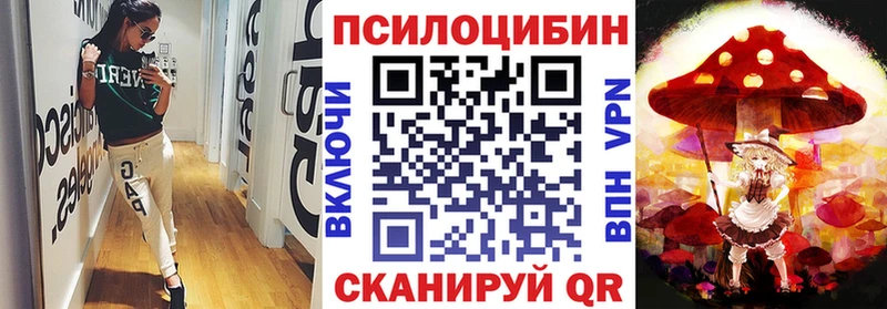 ссылка на мегу сайт  Олонец  Псилоцибиновые грибы Magic Shrooms 